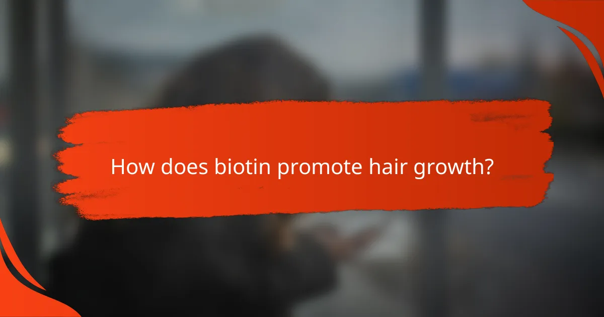 How does biotin promote hair growth?